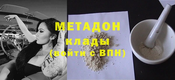 шишки Арсеньев