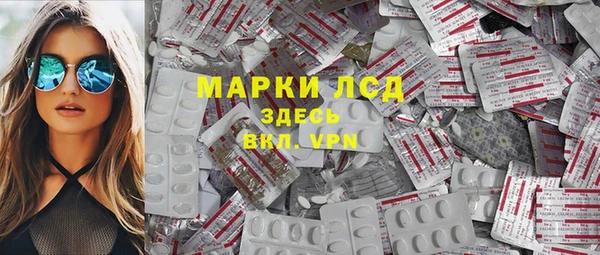 шишки Арсеньев