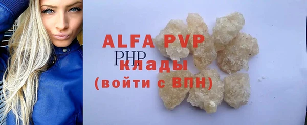 шишки Арсеньев