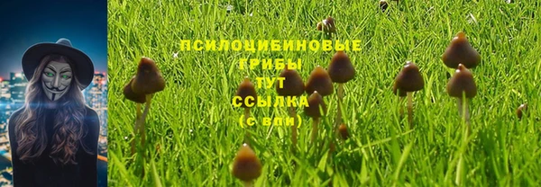 мяу мяу кристалл Аркадак
