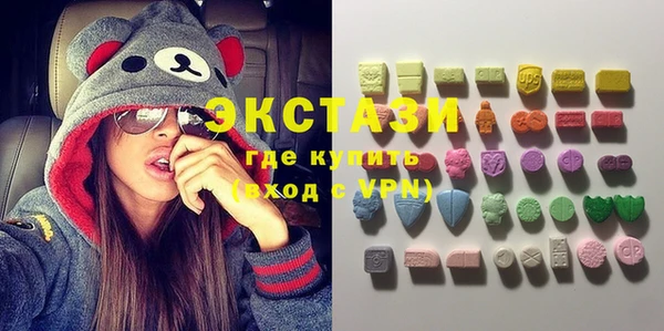 шишки Арсеньев