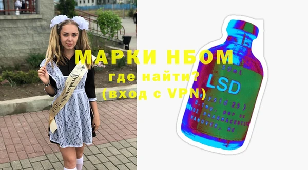 шишки Арсеньев