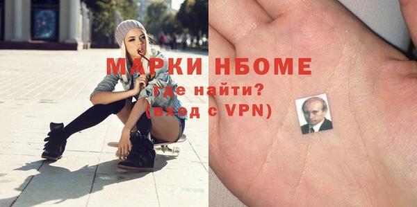 шишки Арсеньев