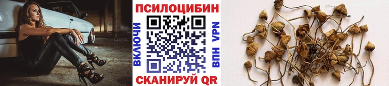 Псилоцибиновые грибы MAGIC MUSHROOMS Окуловка