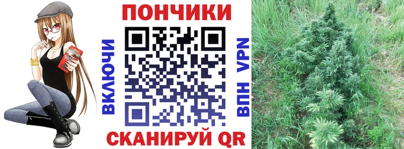 Купить  Окуловка  МАРИХУАНА Ganja 